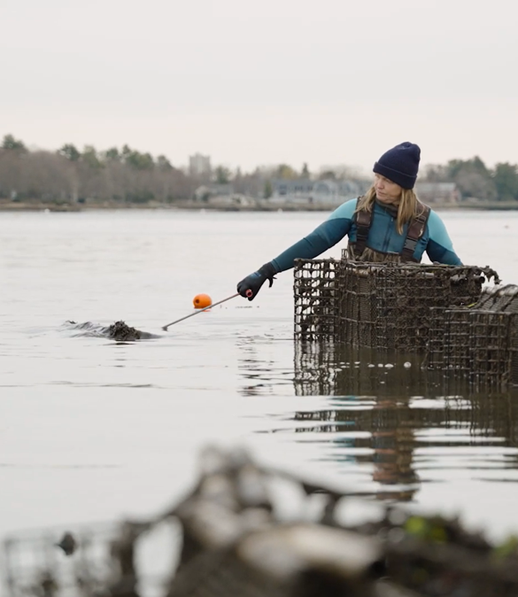 Laura Brown tending oyster cages in the water at Fox Point Oysters